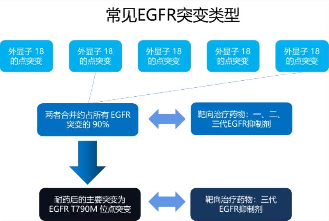 伏美替尼一线治疗达到临床终点egfr靶点为何经久不衰